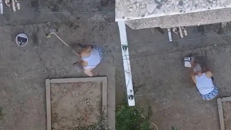 Görüntüler İnfiale Neden Olmuştu! Yavru Kedileri Süpürge Sapıyla Öldüren Şahıs Tutuklandı