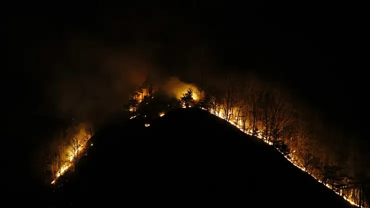 Güney Kore'deki orman yangınlarında ölü sayısı 28'e yükseldi