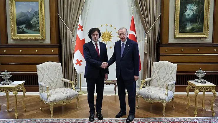 Gürcistan Başbakanı Kobakhidze'den Cumhurbaşkanı Erdoğan'a Övgü