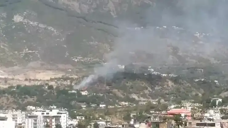 Hatay'da orman yangını