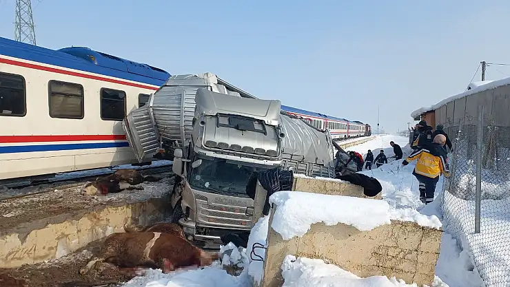Hayvan yüklü tıra tren çarptı: Ölü ve yaralılar var