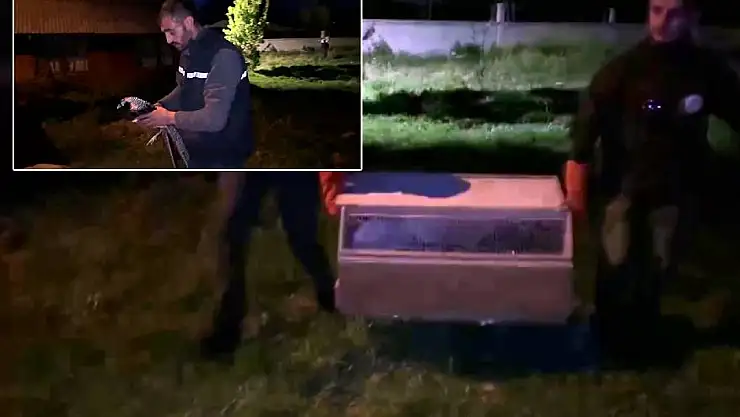 Hayvanat bahçesi gibi ev: Evinden çıkanlar hayrete düşürdü