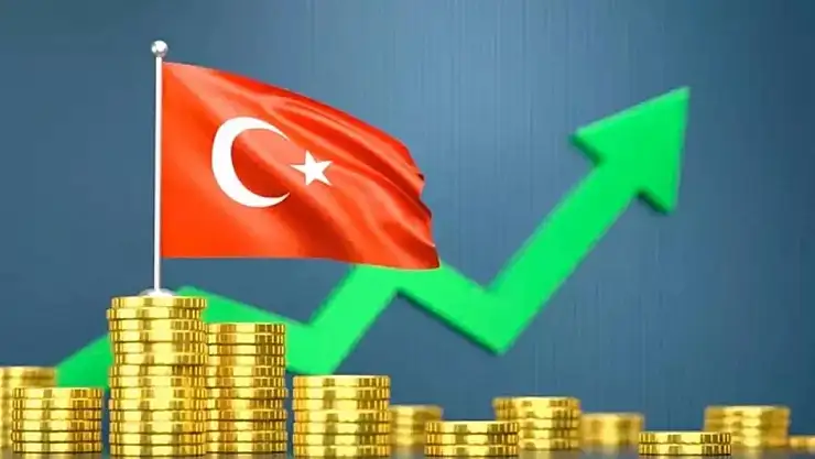 IMF Türkiye Raporunu Yayımladı