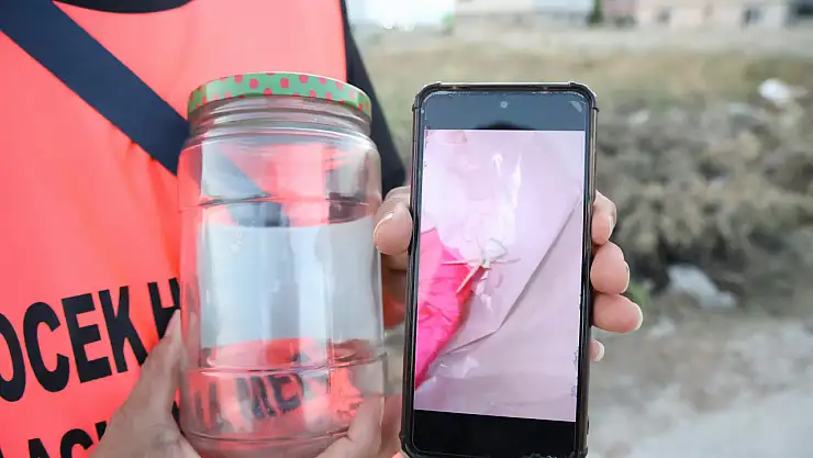 İnsan Yüzlü Örümcek Kavanozda Koruma Altında!