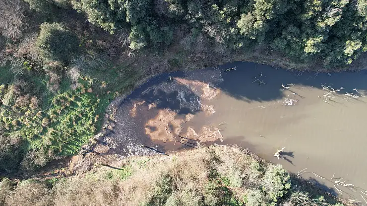 İstanbul'da yüzlerce balık ölüsü kıyıya vurdu! Tarihi göl çöplüğe döndü