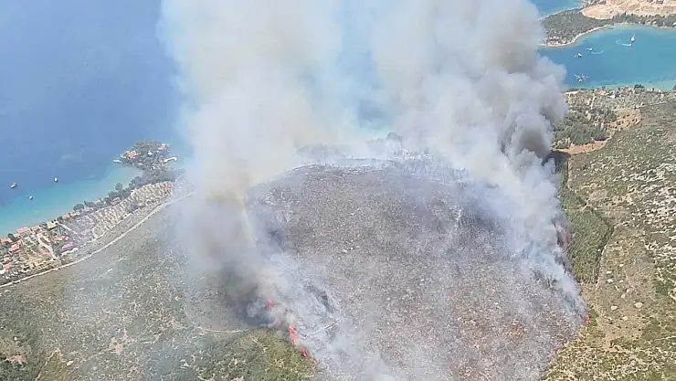 İzmir'de orman yangını! Müdahale sürüyor