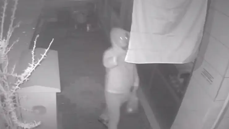 İzmir'de Türk bayrağına çirkin saldırı