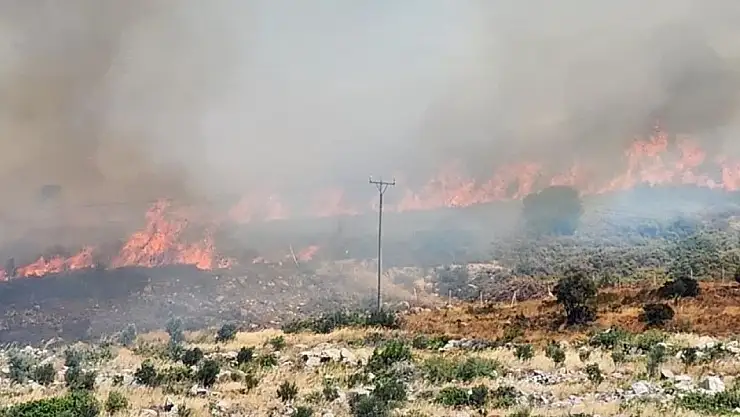 İzmir'de Yangına Müdahale Devam Ediyor