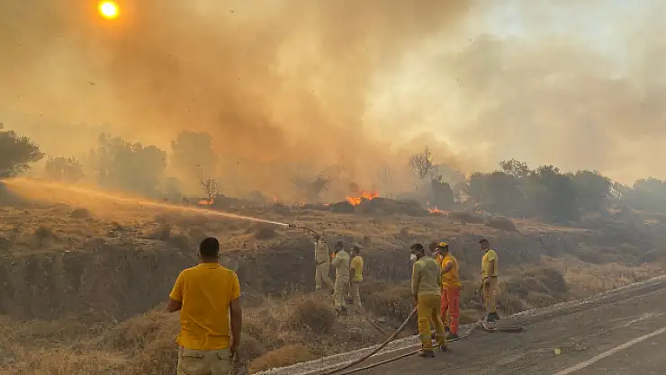 İzmir Dikili'de Orman Yangını! Bağ Evi Kül Oldu, Site Boşaltıldı