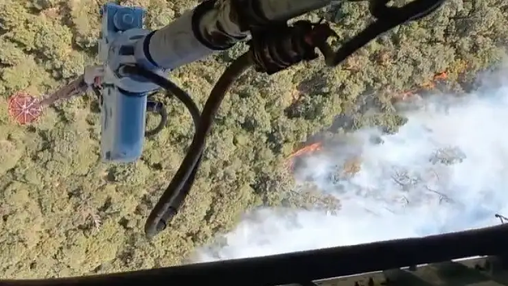 İzmir Foça'da orman yangınına müdahale sürüyor! Ekip sayısı arttırıldı