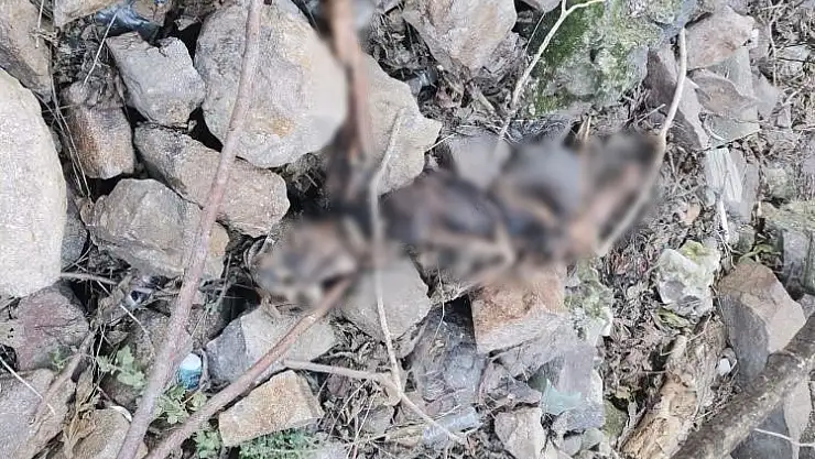 İzmir Tarihi Asansör yakınında insan kemiklerine rastlandı