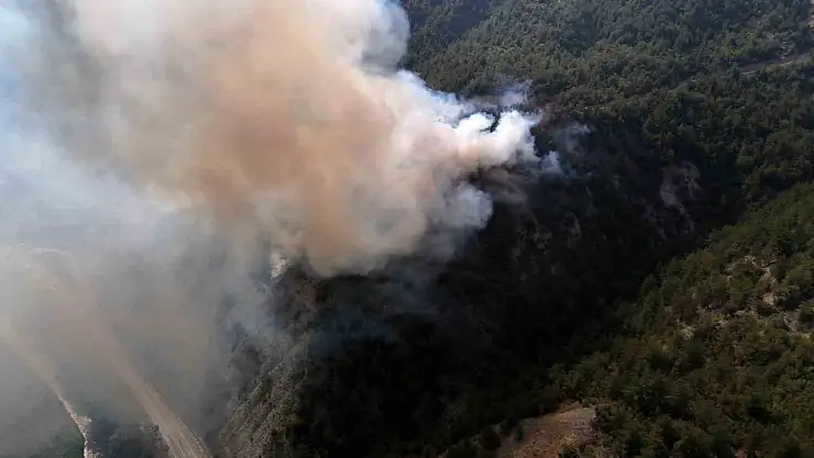 Karabük'te orman yangını çıktı