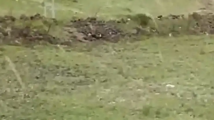 Kars'ta 80 kilometreyi aşan rüzgar! Çatılar uçtu