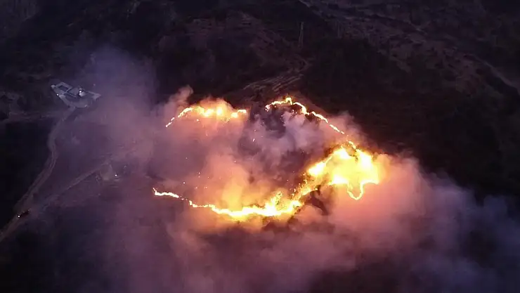 Keneyi Yakmak İsterken Ormanı Küle Çevirdi