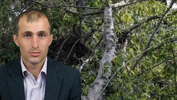 Kestiği ağacın üzerine devrilmesi sonucu öldü