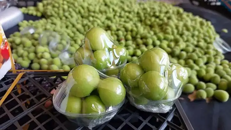 Kilosu 2 bin 250 TL'den Dubai ve Katar'a gönderildi