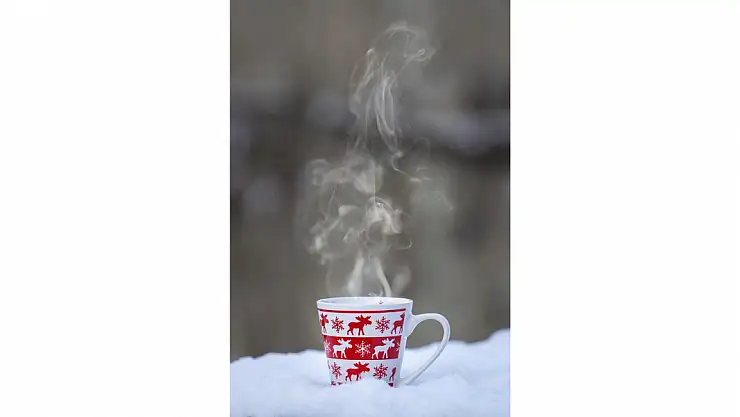 Kışın bağışıklığınızı güçlendirecek bitki çayları