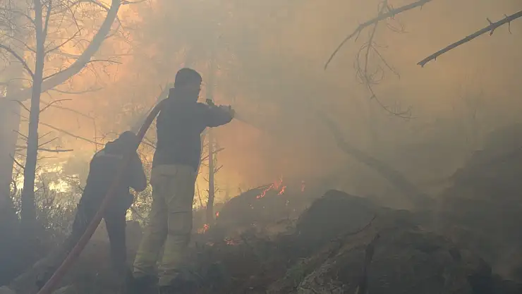 Kopan Yüksek Gerilim Hattı Orman Yangınına Neden Oldu