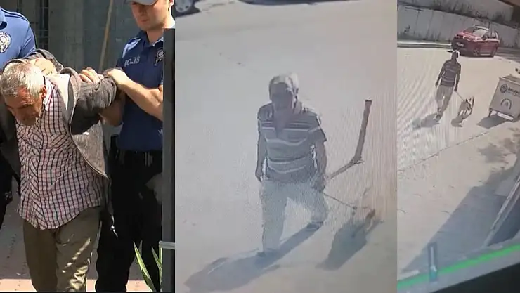 Köpeğe Tecavüz Eden Adam Gözaltına Alındı