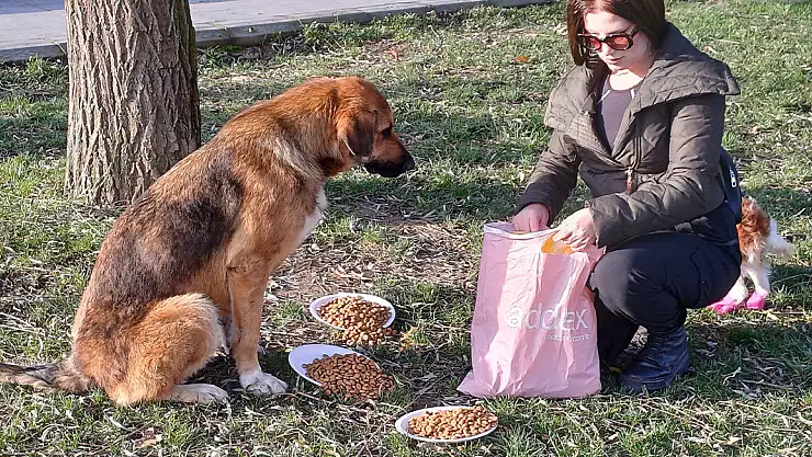 Köpeğin doğum gününe mama hediyesi götürdüler