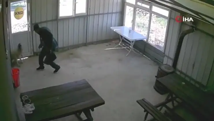 Köy kahvesinde bakılan köpeğe dehşeti yaşattı