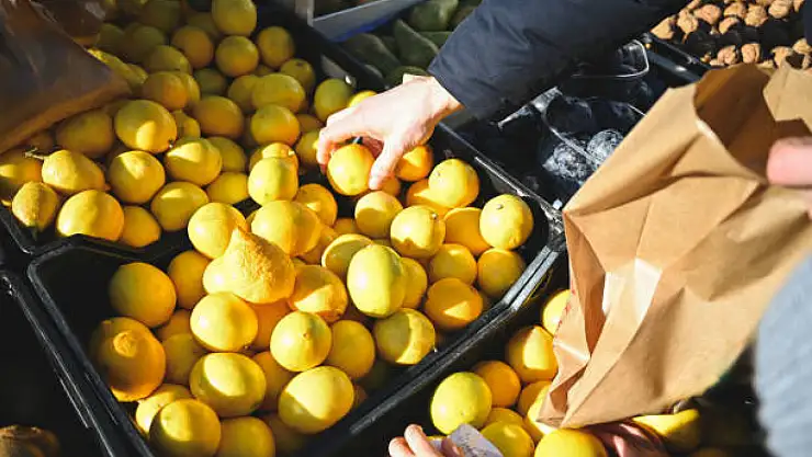 Limon ihracatı durduruldu! Bakanlık sebebini açıkladı