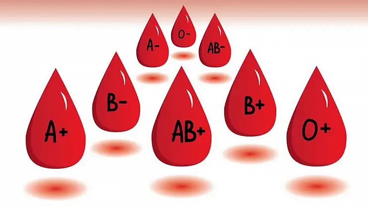 MAL Kan Grubu Gerçek mi? MAL Kan Grubu Ne Oluyor?