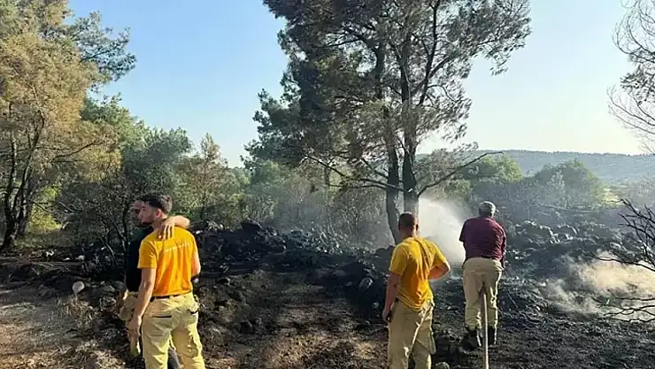Mangal yaparken ormanı yakmış tutuklandı