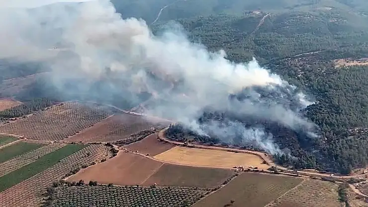 Manisa'da Orman Yangını! 3 Uçak ve 6 Helikopterle Müdahale Ediliyor