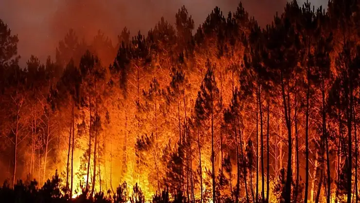 Meksika Yanıyor! 15 Eyalette 58 Orman Yangını