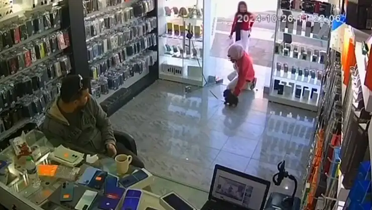 Mersin'deki İki Kızın Severken Ölümüne Neden Olduğu Köpeğe Otopsi Yapılacak