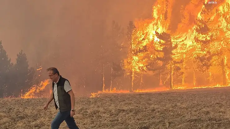 Mudurnu'daki orman yangını sonrası 1 kişi tutuklandı
