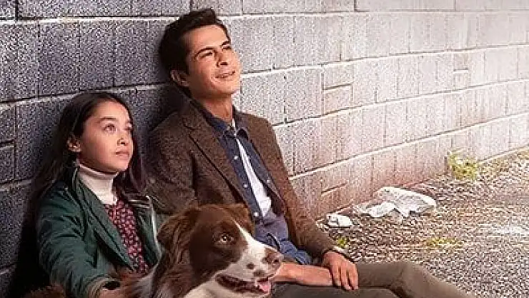 Ben Bu Cihana Sığmazam 20. Bölüm 7 Şubat Salı  ATV Yeni Bölüm Fragmanı İzle.. Son Bölüm Fragmanı İzle..