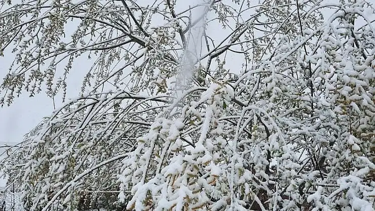 Niğde'de Mayıs Ayında Kar Yağdı