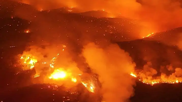 Orman yangınlarına ilişkin 13 hesap yöneticisi hakkında işlem başlatıldı