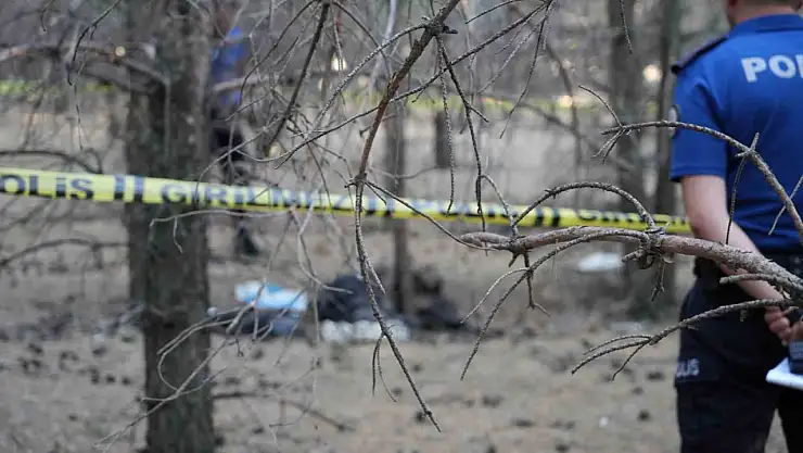 Ormanlık alanda erkek cesedi bulundu