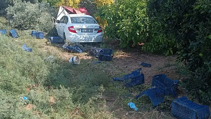 Otomobil bahçeye daldı: Hasat yapan işçilerden 1'i öldü, 3'ü yaralandı