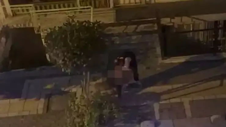 Pitbull cinsi köpek, sahibine saldırdı