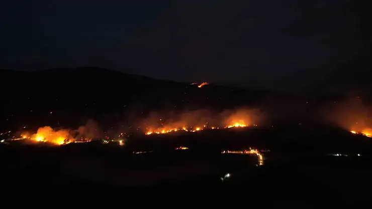 Sakarya-Bilecik sınırında alevler yeniden yükseldi