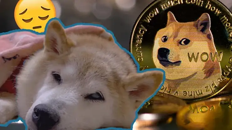 Sanal Paraların Simgesi Olan Köpek Öldü