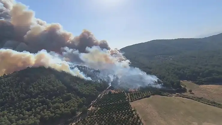 Sevindiren Haber! İzmir'deki Yangın Kontrol Altında