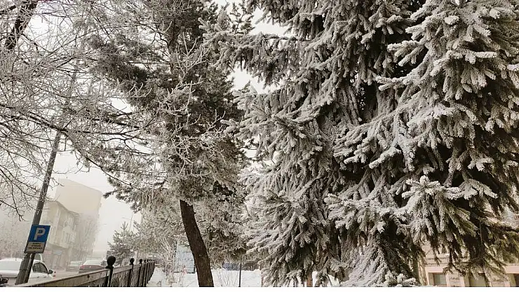 Sibirya Soğukları O İli Esir Aldı