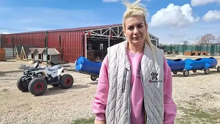 Sokak hayvanları derneğine 'para aklama' davası