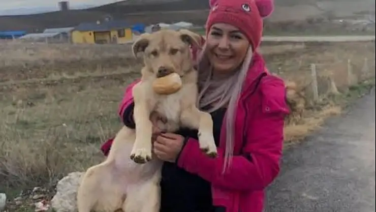 Sokak Hayvanları Üzerinden Haksız Kazanç Operasyonu! Buket Özgünlü ve 9 Kişi Gözaltına Alındı