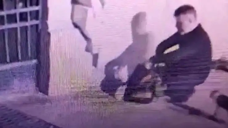 Sokak Kedilerini Sırt Çantası ile Toplayıp Öldüren Kişinin Cezası Belli Oldu