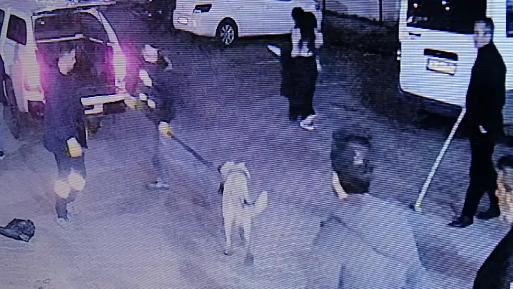 Sokak köpeğinin saldırdığı 3 kişi yaralandı