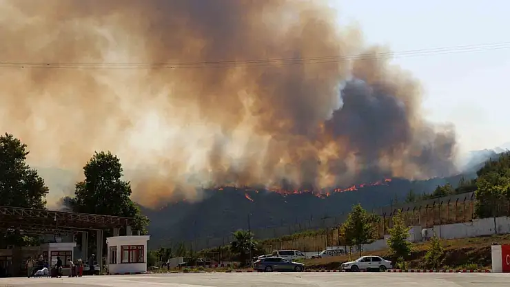 Suriye'deki yangın Türkiye'ye sıçradı