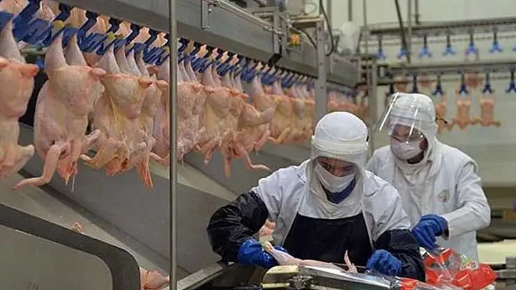 Suriye, Türkiye'den tavuk ithalatını yasakladı!