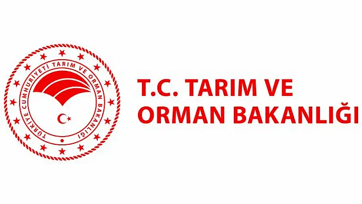 Tarım ve Orman Bakanlığından hayvan yetiştiricilerine gebe düve desteği