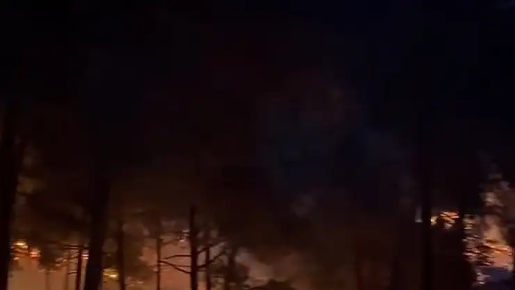 Tarsus'ta orman yangını